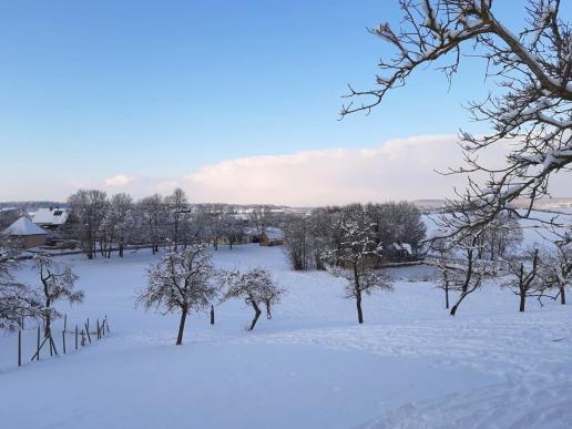 SchneeAusblick vom Garten aus