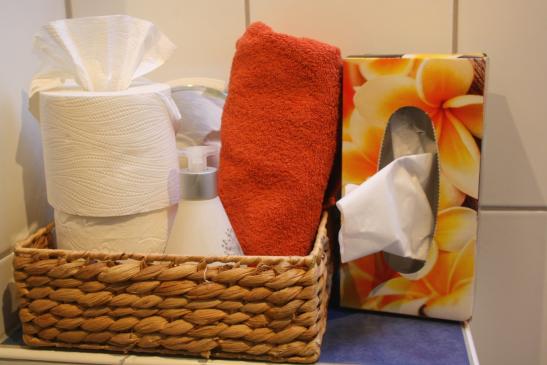Unsere Bäder bieten neben Bade- und Handtücher auch Seife, Kosmetiktücher, Waschlappen, Föhn, Toilettenpapier