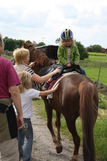 Gefühl für das Pferd entwickeln