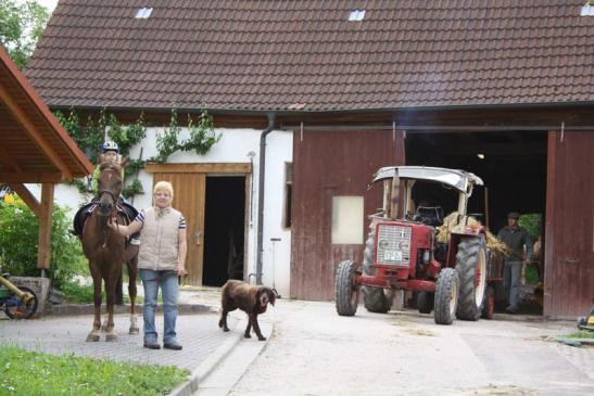 Hier sind die Pferde Zuhause