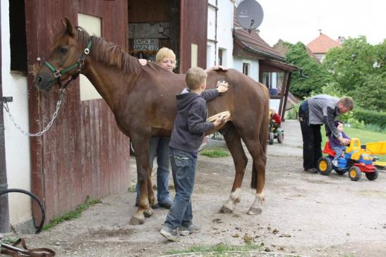 Putzen und Striegeln gehört mit dazu