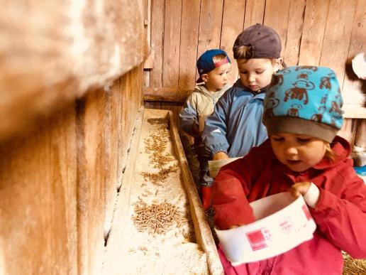 tägliches Füttern unserer Tiere