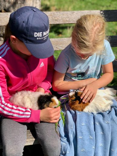 Meerschweinchen Anni&Frieda Füttern