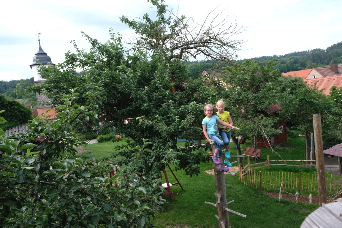 Tolle Aussicht vom Kletterbaum