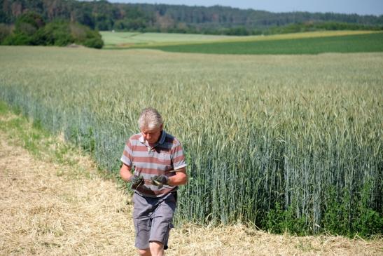 Traktorfahrt ins Grüne: Naturkunde mit Hellmut