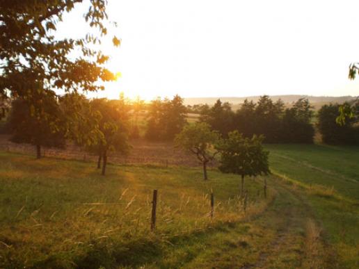 Sonnenuntergang in unserer Flur